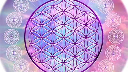 Fleur de vie pour recharger vos pierres naturelles